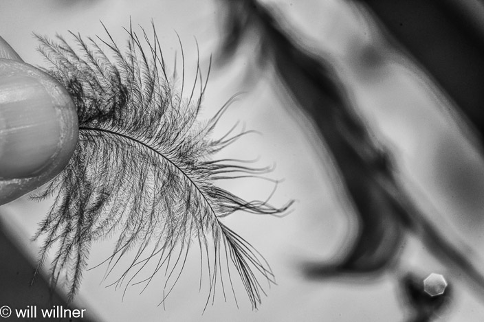 IR061024-017-5