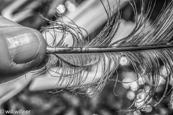 IR062224-009-25