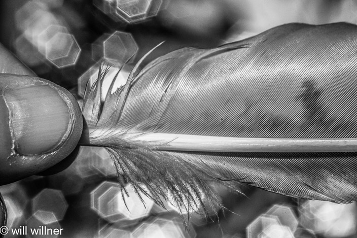 IR062224-019-18