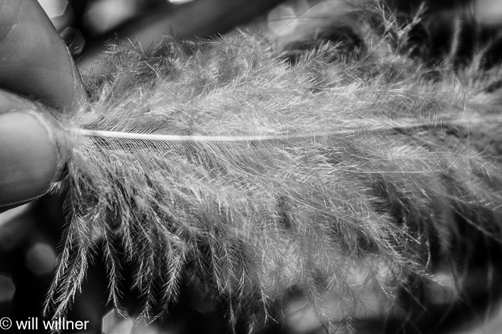 IR070124-027-3
