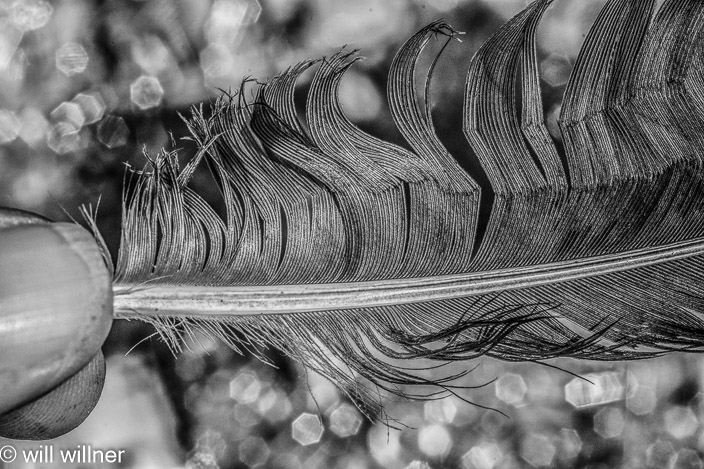 IR081424-009-19