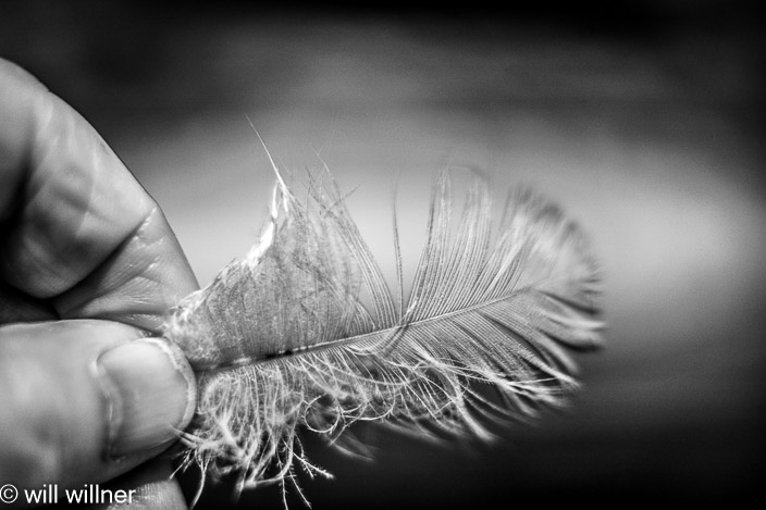 IR09072021-009-33