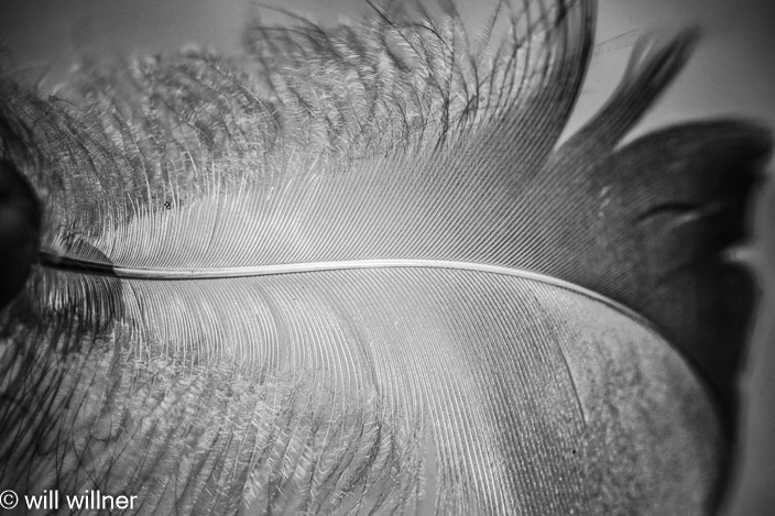 IR090823-018-35
