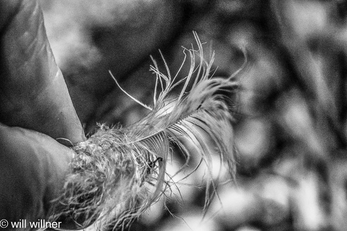 IR092023-016A-6